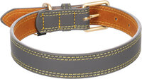 Halsband Virginia Grijs