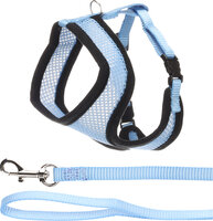 Harnas met looplijn voor kittens Harms Blauw