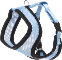 Harnas met looplijn voor kittens Harms Blauw