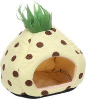 Slaapplaats Helga Geel Ananas