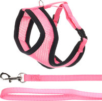 Harnas met looplijn voor kittens Harms Roze