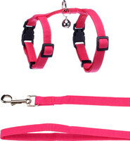 Harnas met looplijn voor kittens Lomi Fuchsia