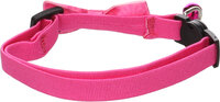 Halsband met strik Castor Roze