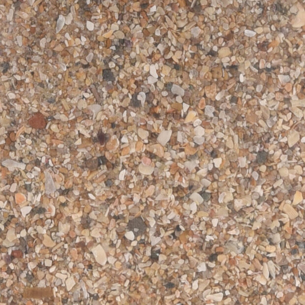 Schelpenzand Anijs Krusta Bruin