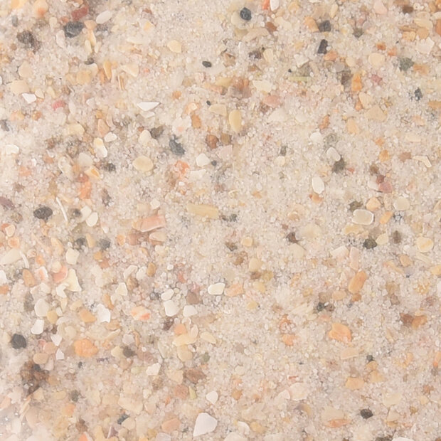 Schelpenzand Anijs Wit