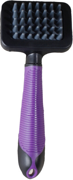 Borstel Premium Care