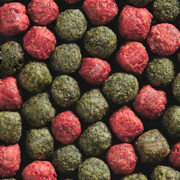 Vijvervoer Groen Rood