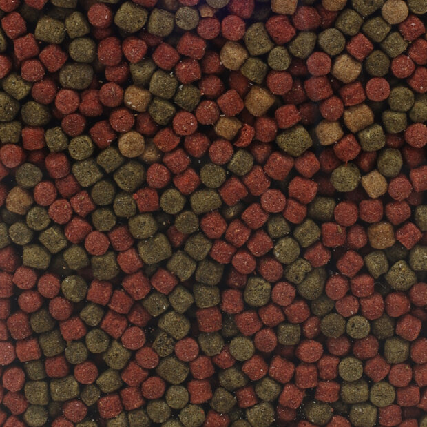 Vijvervoer Groen Rood