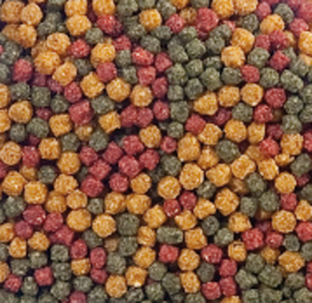 Vijvervoer Beige Groen Rood