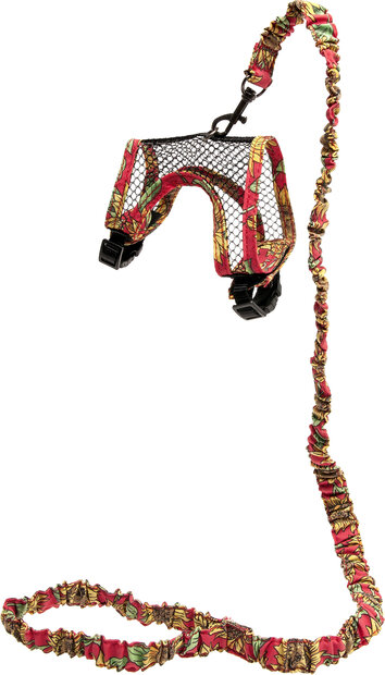 Harnas met looplijn Art Joy Meerkleurig