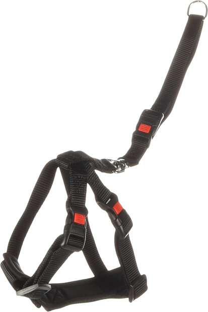 Autoveiligheidsharnas Duma Zwart