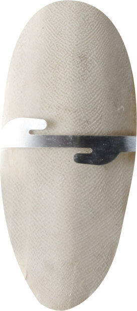 Sepia schelp Sepiaschelp