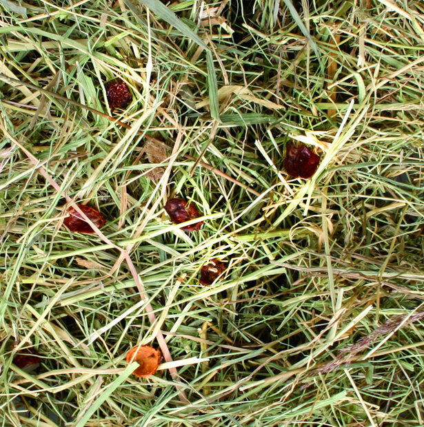 Snack Berghooi Rozenbottel