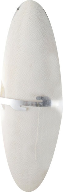 Sepia schelp Sepiaschelp