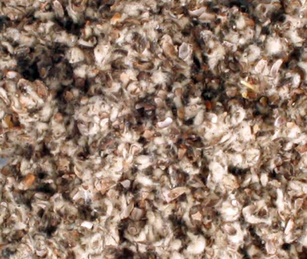 Katoenen beddingmateriaal Meerkleurig