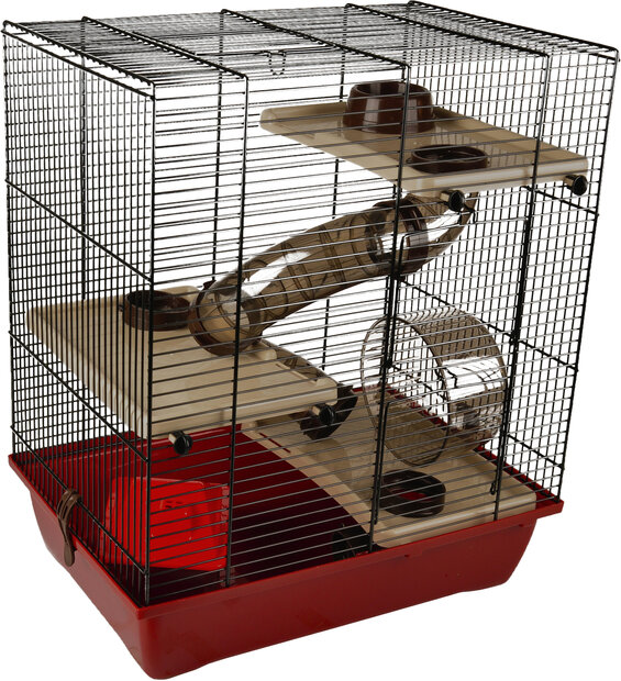 Kooi Enzo 3 Bordeaux Zwart