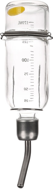 Drinkfles Athina Transparant &amp; Zilver