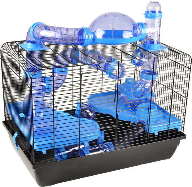 Kooi Aldo Blauw Zwart