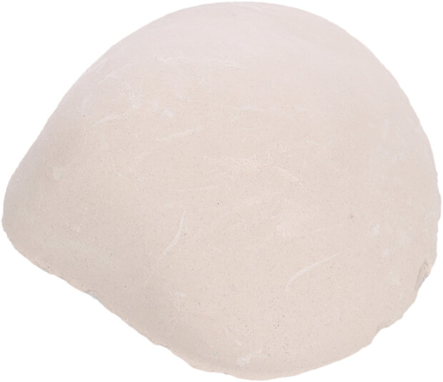 Zuurstofschelp Shelly Wit Schelp