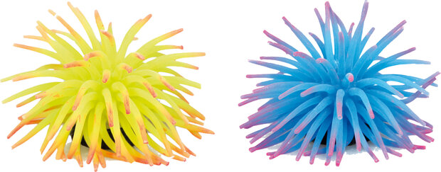 Decoratie Meerdere kleuren Anemoon