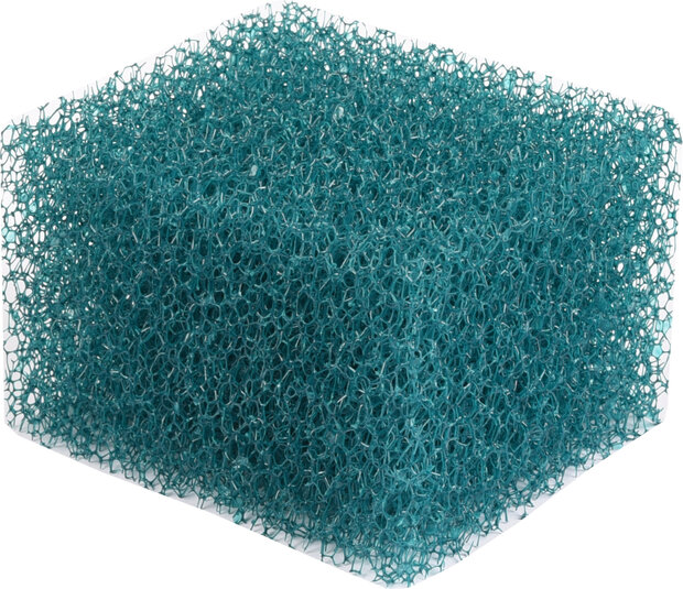Filterspons Shark Groen