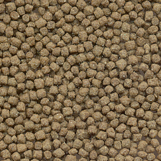 Voeding Turtle Bruin