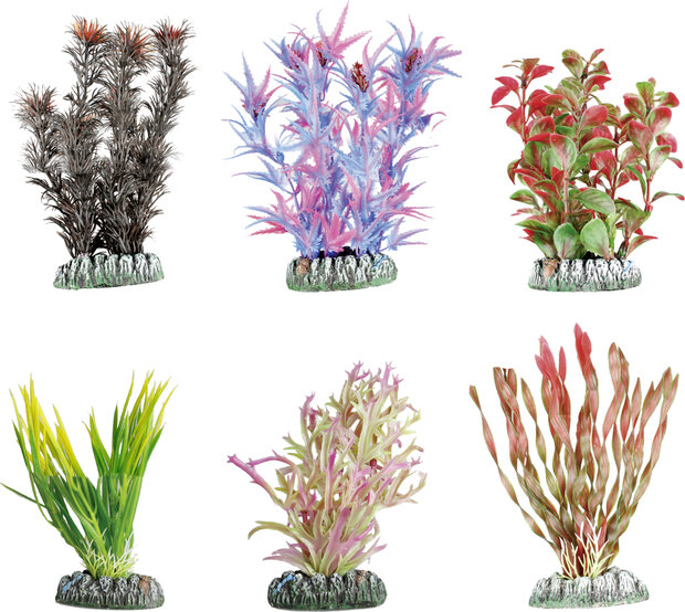 Decoratie Guyana Meerdere uitvoeringen