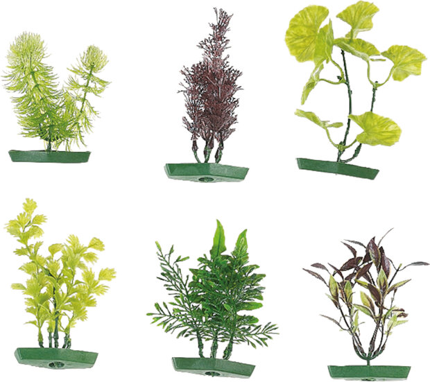 Decoratie Meerdere kleuren Plant