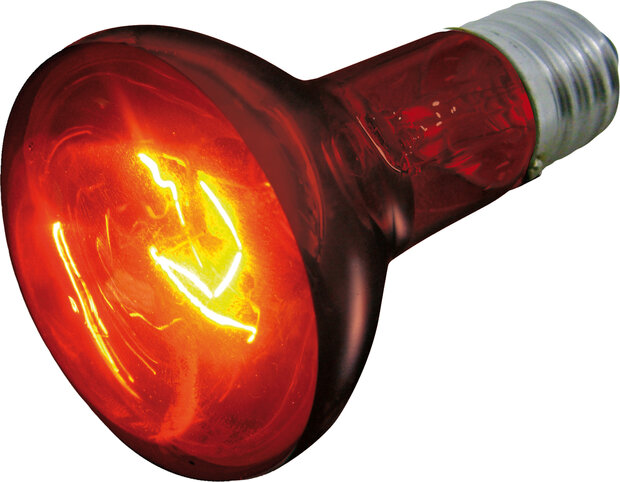 Infraroodspot Herschel Rood