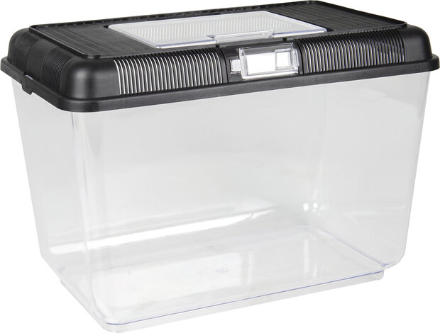 Aquarium Goldie Zwart