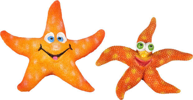 Decoratie Leto Oranje Zeester