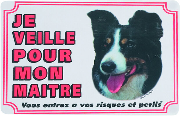 Waakbord FR Border collie Wit