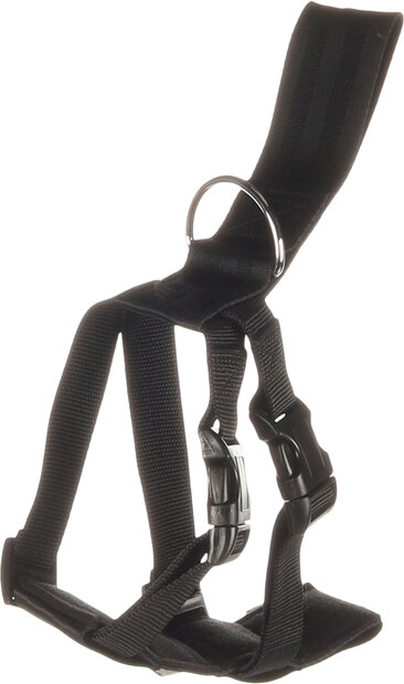 Autoveiligheidsharnas Baro Zwart
