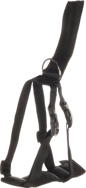 Autoveiligheidsharnas Baro Zwart