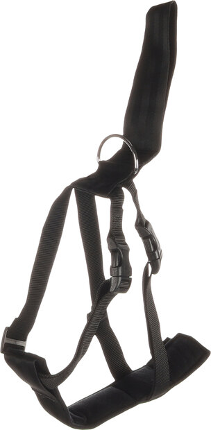 Autoveiligheidsharnas Baro Zwart