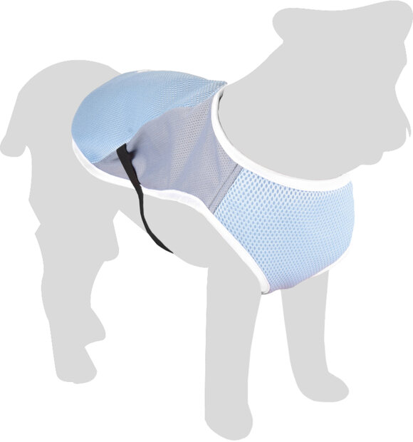 Koeljas Frozen Blauw &amp; Grijs