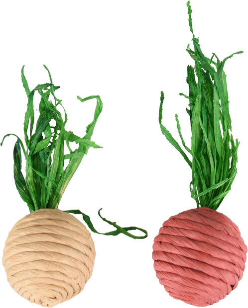 Speelgoed Radi Radijs Meerkleurig