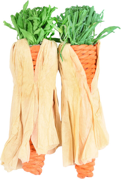 Speelgoed Legou Wortel Oranje