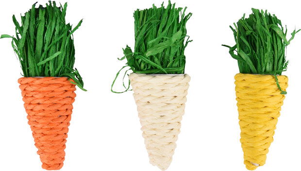 Speelgoed Legou Wortel Meerkleurig