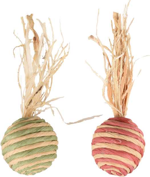 Speelgoed Radou Radijs Meerkleurig