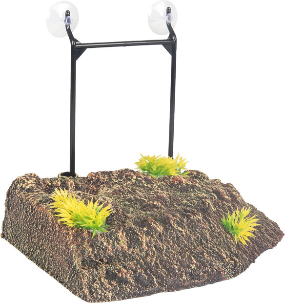 Decoratie Como Bruin Eiland Plant