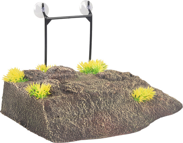 Decoratie Como Bruin Eiland Plant