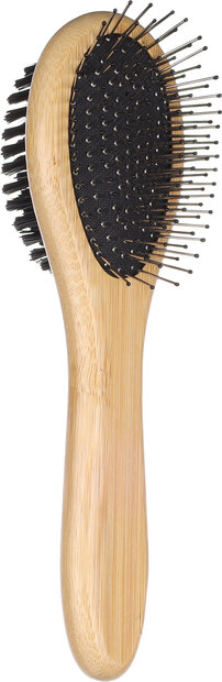 Borstel &amp; Pinborstel Babu