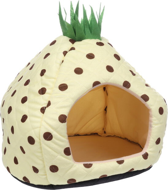 Slaapplaats Olga Geel