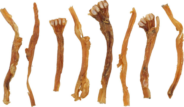 Snack Nature Geitenpees