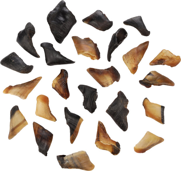 Snack Nature Schaapshoef