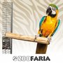 ZooFaria Java Single Perch Large